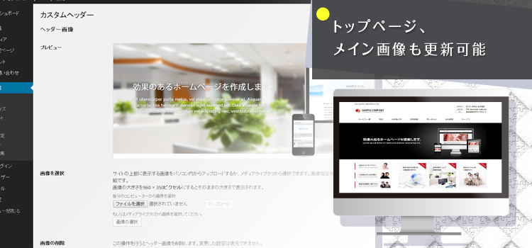 WPプラン